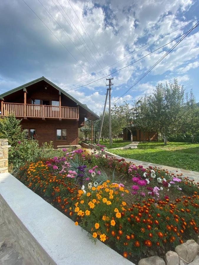Анничка Villa Khorotseve Exteriör bild