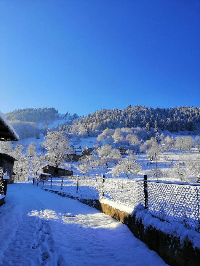Анничка Villa Khorotseve Exteriör bild